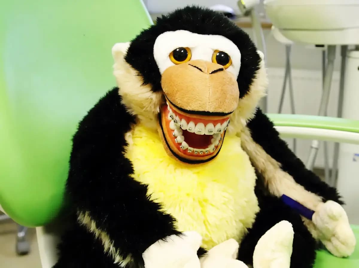 Plüschaffe mit großem Übungsgebiss und Zahnbürste